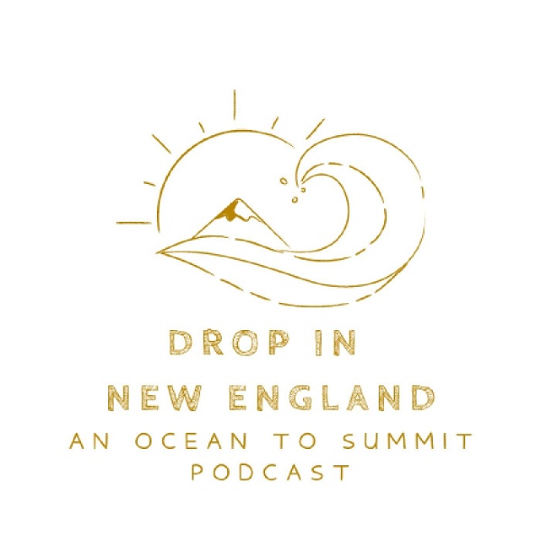 Artwork for "DROP IN New England"