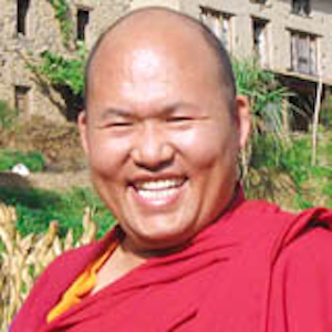 Artwork for Drupon Khenpo Lhabu Rinpoche
