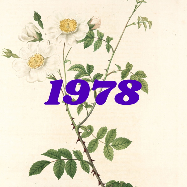 Artwork for 1978fm
