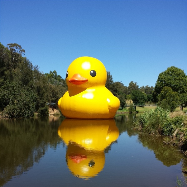 Artwork for Duckcalls: Duck of Minerva podcast
