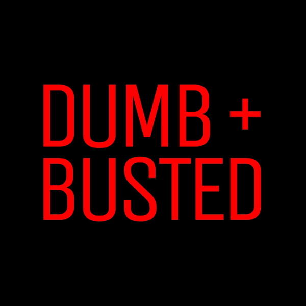 Artwork for Dumb and Busted