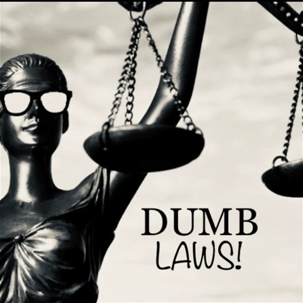 Artwork for Dumb Laws