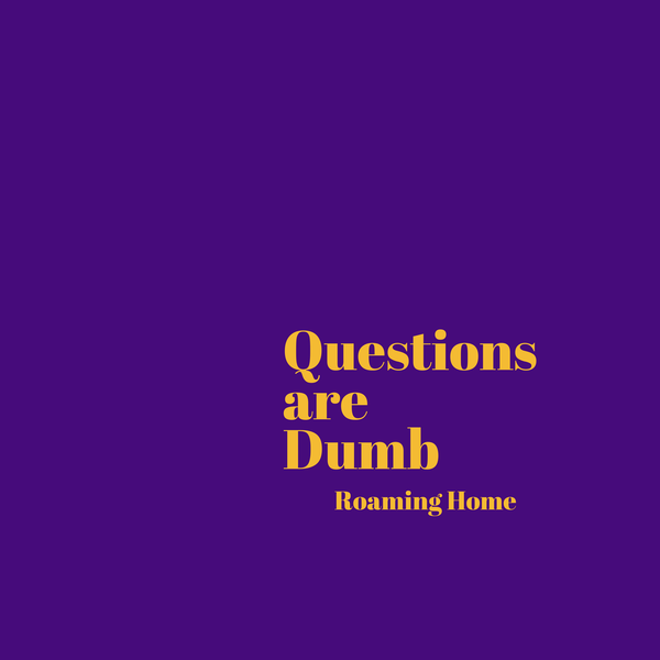 Artwork for Dumb Question