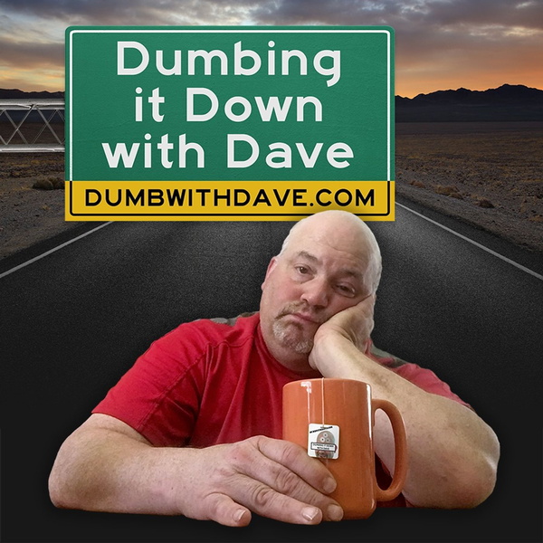 Artwork for Dumbing it Down