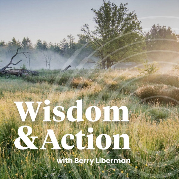 Artwork for The Wisdom & Action Podcast