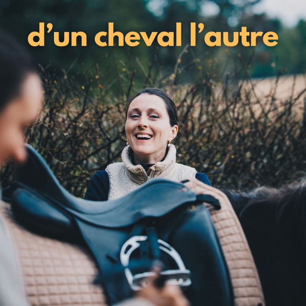 Artwork for d'un cheval l'autre