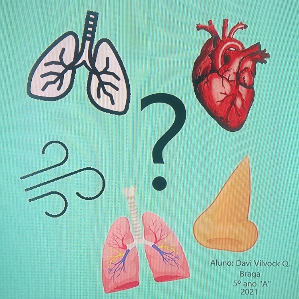 Artwork for Dúvidas sobre o sistema respiratório e cardiovascular