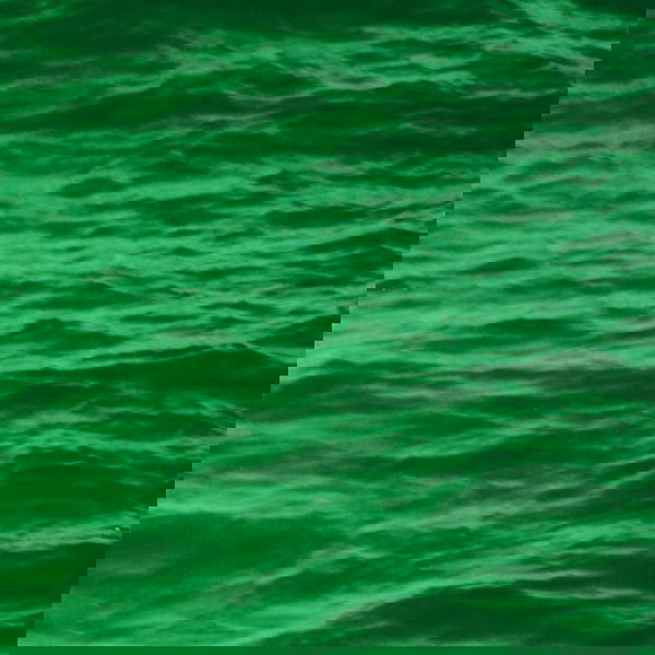 Artwork for DYMedia1