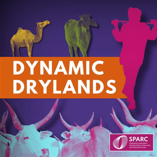 Artwork for Dynamic Drylands