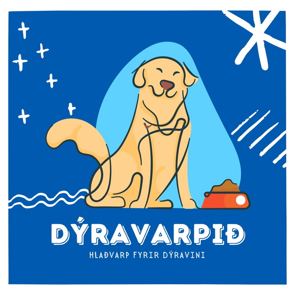 Artwork for Dýravarpið