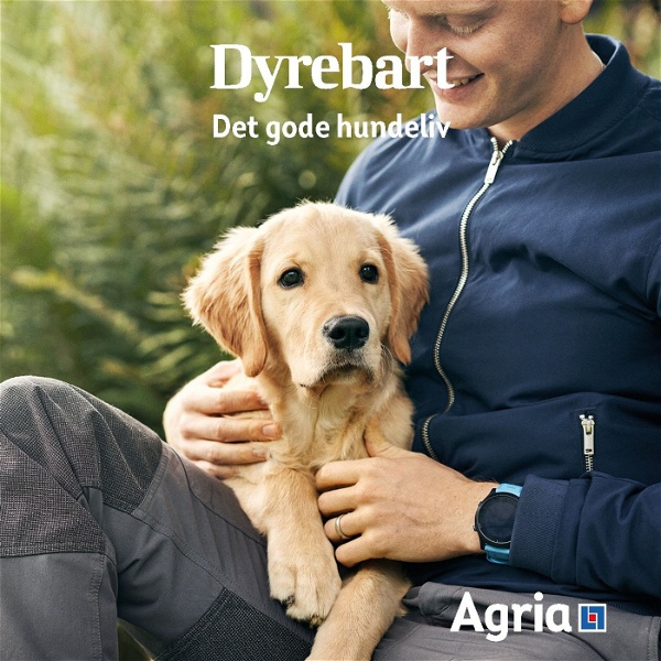Artwork for Dyrebart: Det gode hundeliv