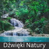 Dźwięki Natury