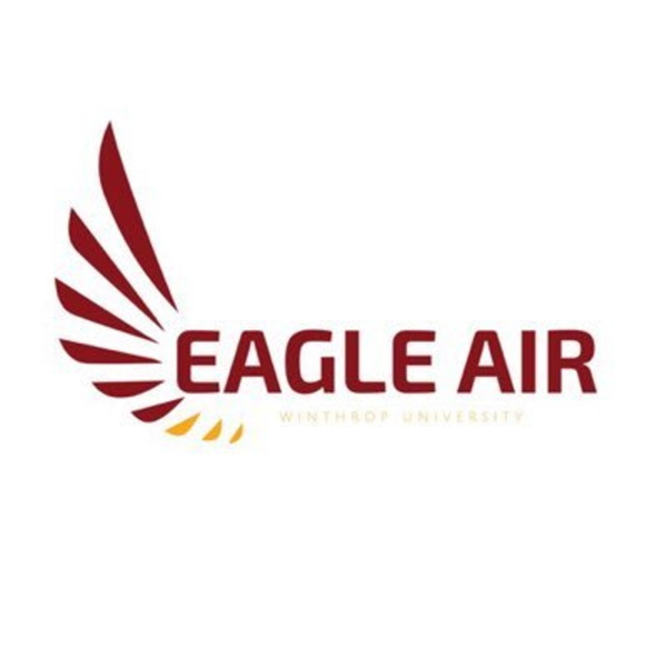 Artwork for Eagle Air Radio