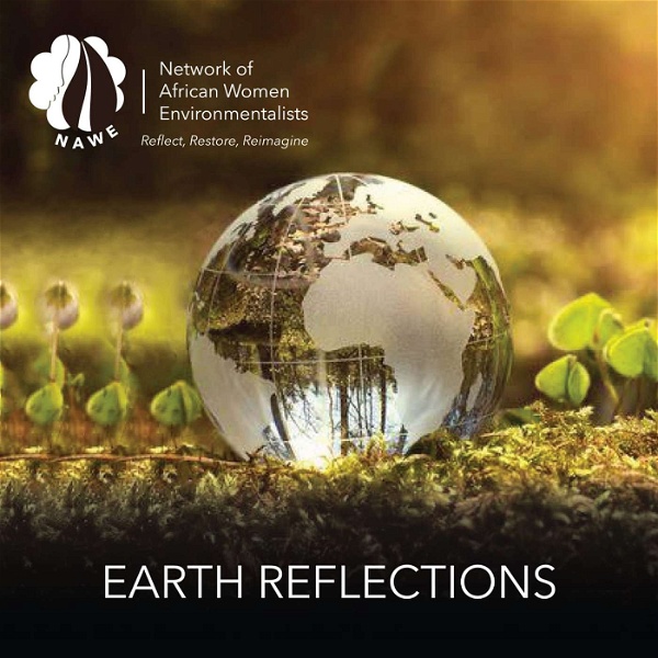 Artwork for Earth Reflections
