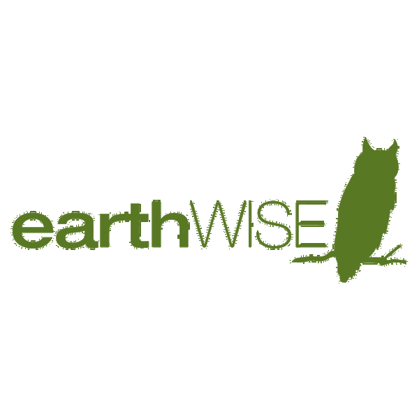 Artwork for Earth Wise