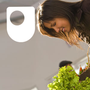 Artwork for Ebusiness technologies: foundations and practice