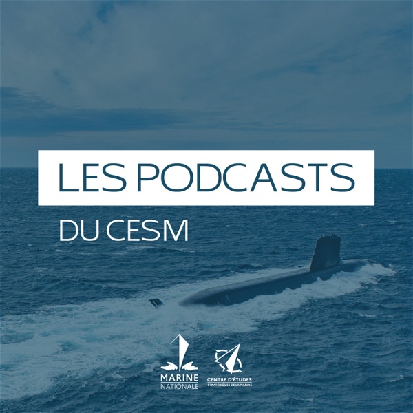 Artwork for Les podcasts du CESM