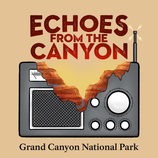 Artwork for Echoes From the Canyon