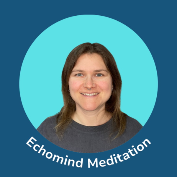 Artwork for Echomind Meditation