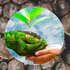 Eco-friendly