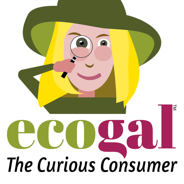 Artwork for Ecogal the curious consumer