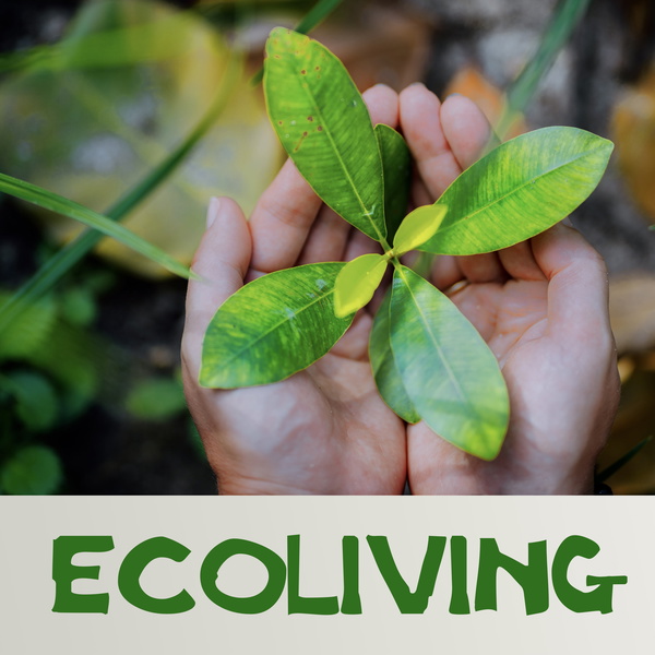 Artwork for Ecoliving