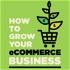 How to Grow your eCommerce Business - Shopify, Amazon, eBay, Google and More!