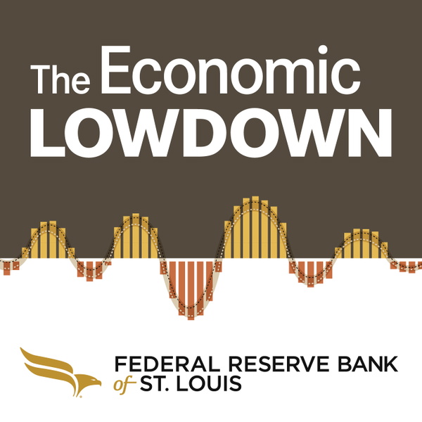Artwork for Economic Lowdown