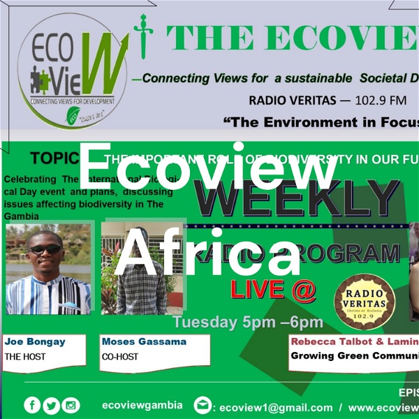 Artwork for Ecoview Africa