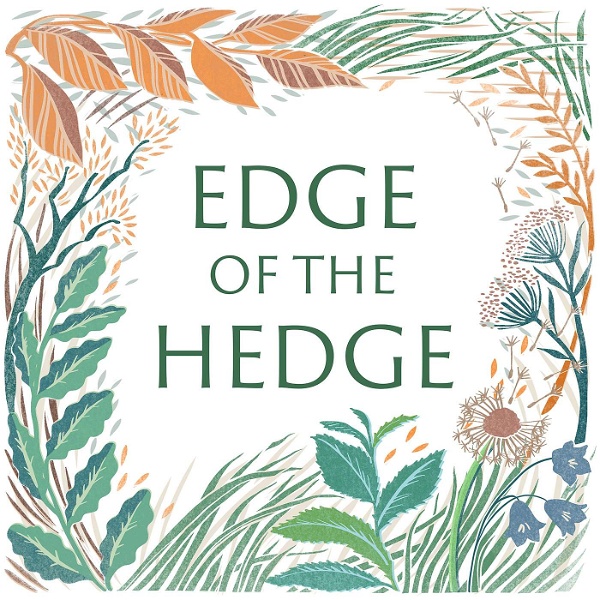 Artwork for Edge of the Hedge
