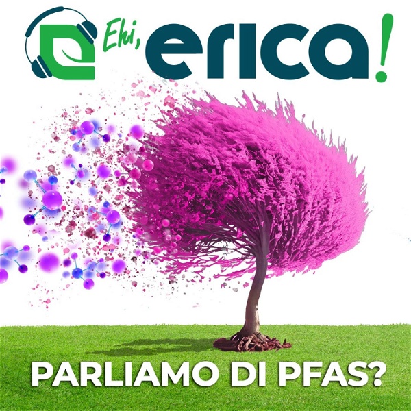 Artwork for Ehi, Erica! Parliamo di PFAS?