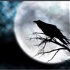 El Cuervo De Allan Poe