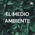 EL MEDIO AMBIENTE