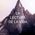 ¡EL PEREGRINO DE PAULO COELHO