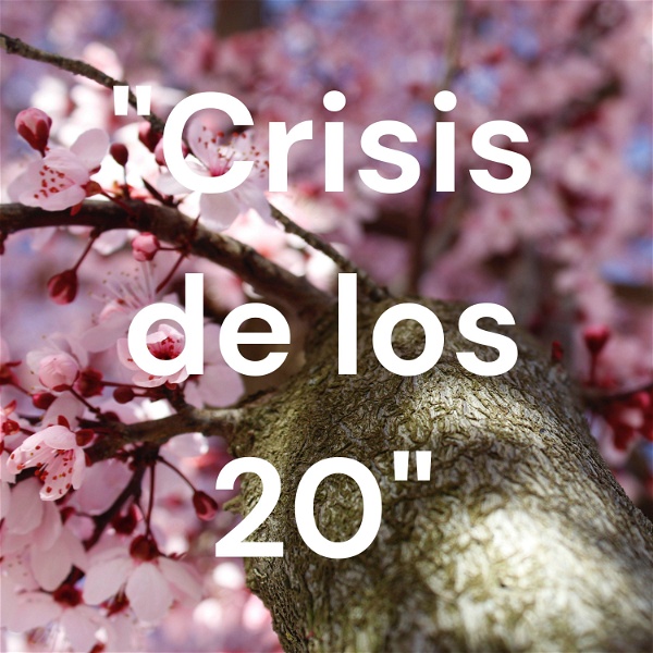 Artwork for "Crisis de los 20"