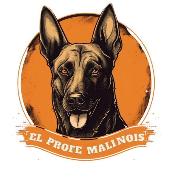 Artwork for El Profe Malinois