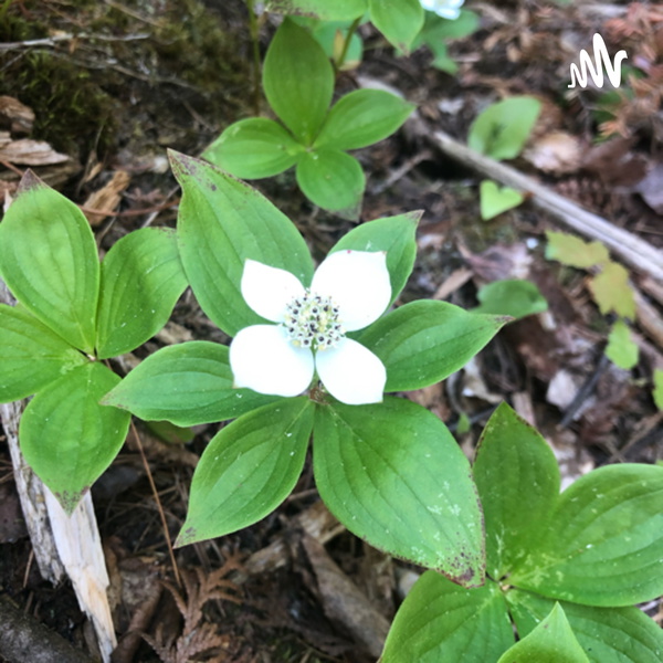 Artwork for ELearning Tools