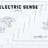 Electric Sense