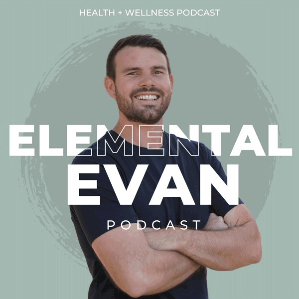 Artwork for Elemental Evan
