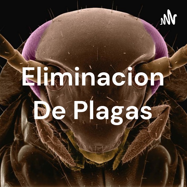 Artwork for Eliminacion De Plagas