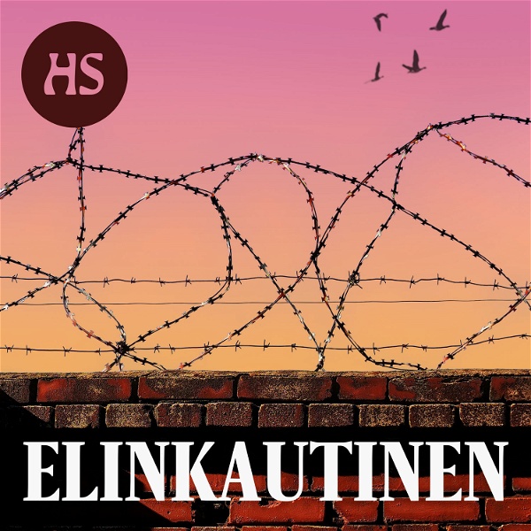 Artwork for Elinkautinen