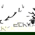 Elk Talk