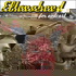 Eltonabend – der Podcast