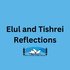 Elul Reflections
