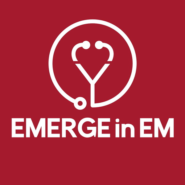 Artwork for Emerge in EM