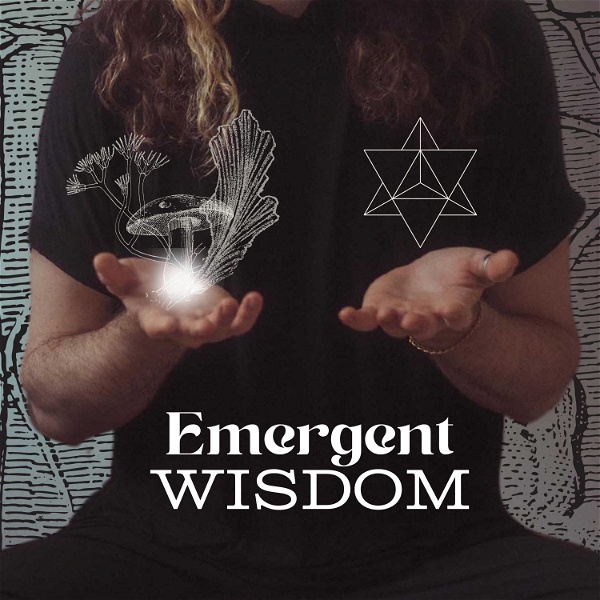 Artwork for Emergent Wisdom