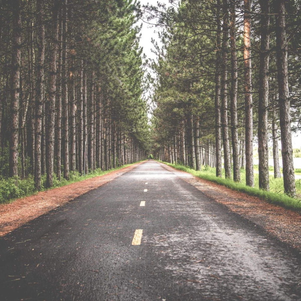Artwork for Emmaus Road Church