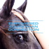 Empowered Equestrian Connection