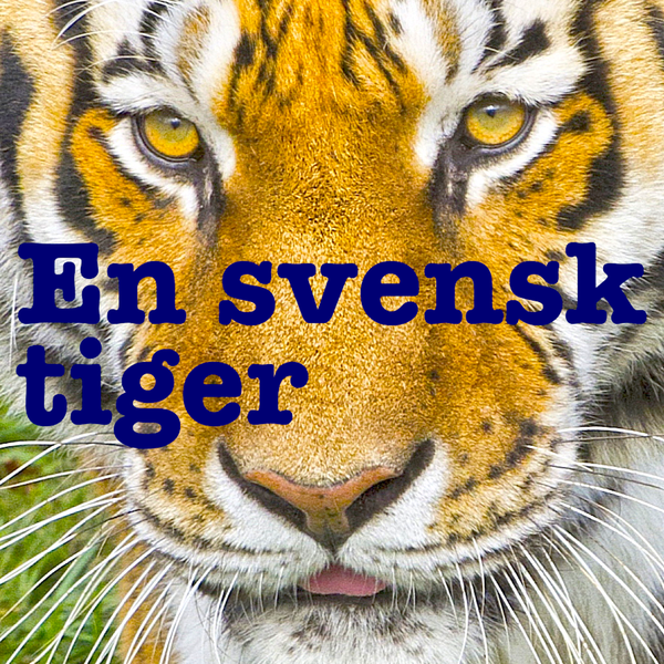 Artwork for En Svensk Tiger: En podcast om modernhistoria.