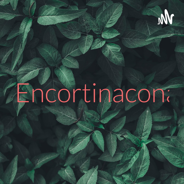 Artwork for Encortinaconangelo